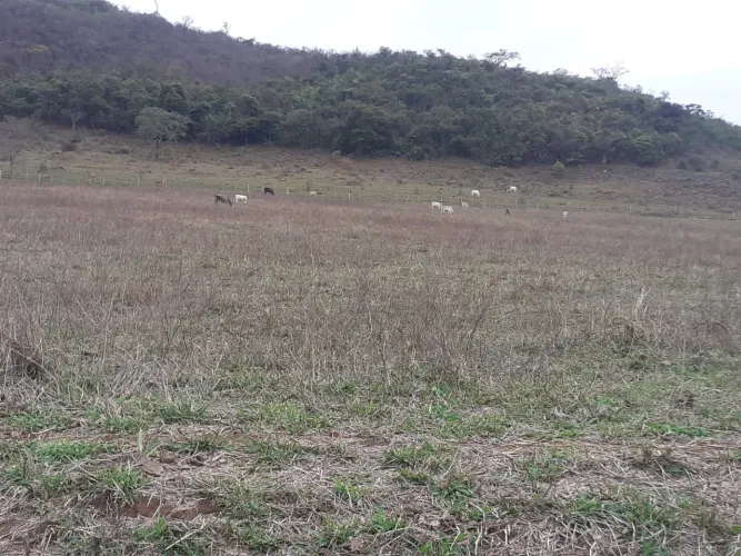 Fazenda 190 Alqueires, Rica em Água com 9 Nascentes, 100 Alqueires em Pasto, 70 Alqueires