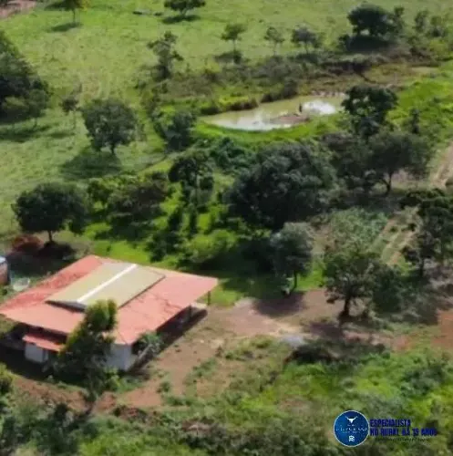 Chácara à Venda em Piracanjuba - GO | 55.000 m² (1 Alqueire e 12 Litros)