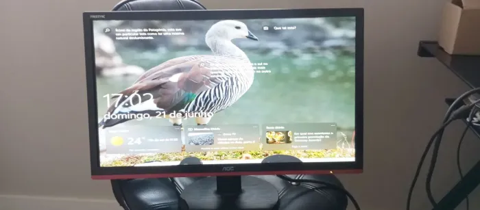 Monitor Gamer AOC Freesync 24 polegadas modelo G2460VQ6