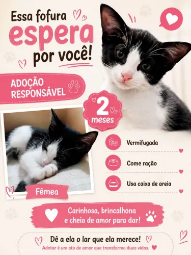 Adoção
