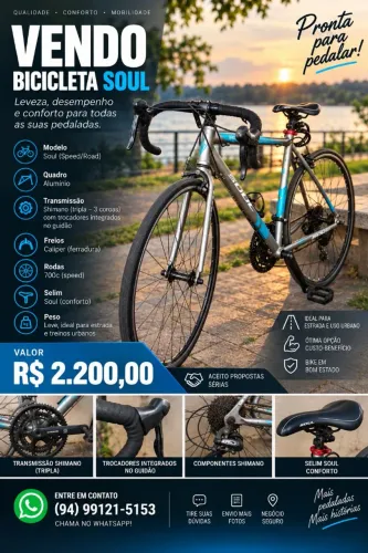 Bicicleta