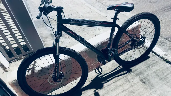 Bike Aro 29