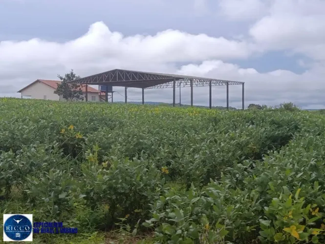 Fazenda à Venda em Montes Claros de Goiás GO | 103 Alqueires