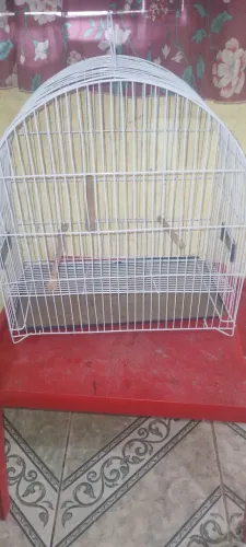 Vendo Gaiola de ferro