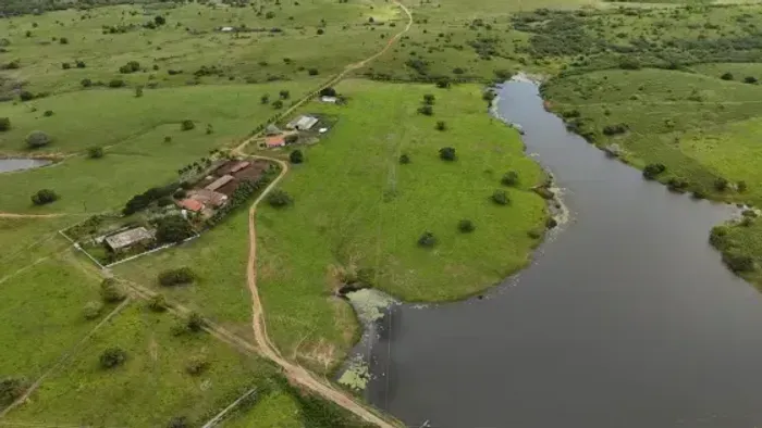 Excelente fazenda com 410 hectares na melhor região de Macaiba 90% plantada e piquetada