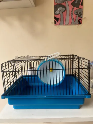 KIT PARA HAMSTER