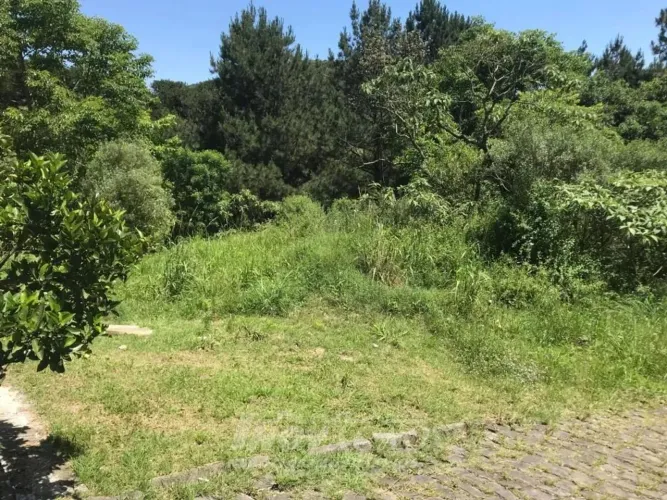 Terreno São Luiz Caxias do Sul