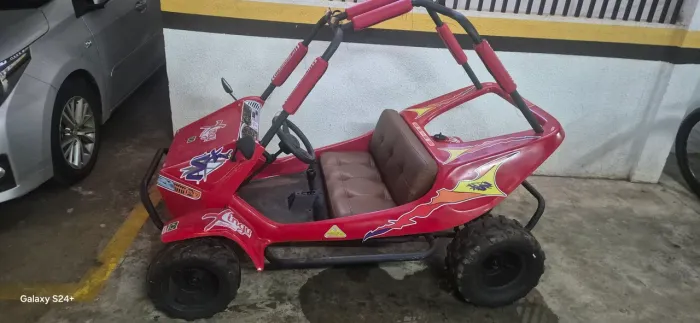 Buggy Xingu