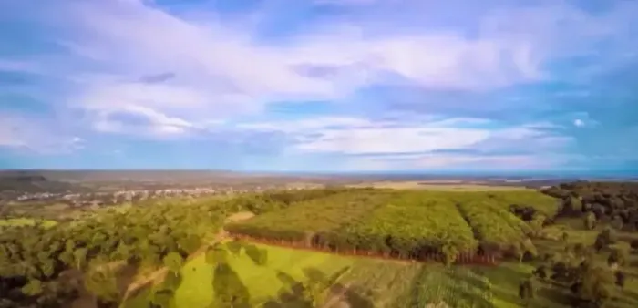 Vendo fazenda próxima ao Zé Doca Maranhão Fazenda Cajueiro
