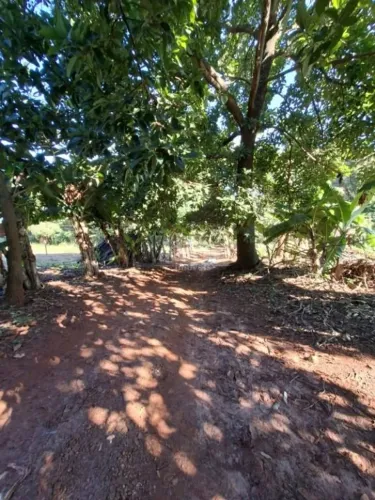 Fazenda ,5,0594 alqueires paulistas por R$ 1.800.000 - Pederneiras,SP