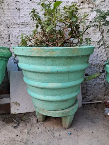 Vasos de planta (cimento)
