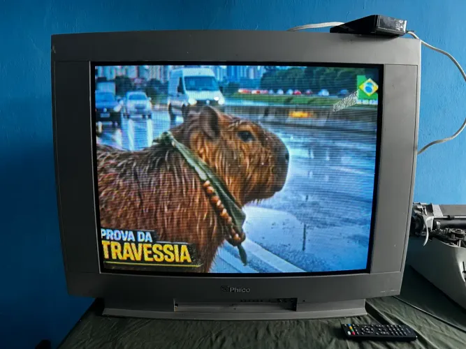 Tv de tubo 