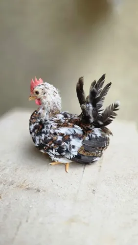 Mini Garnizé Macho Mil Flores