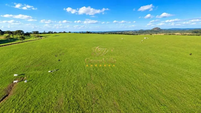 Campo do Tenente/ Lapa, 65 Alqueires, 157,30 Hectares, , Dupla Aptidão, 2,7 km do asfalto
