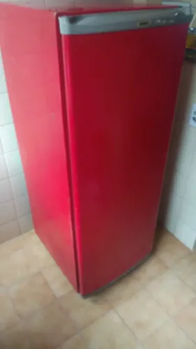 freezer vertical consul