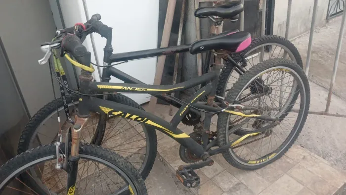 Bicicleta