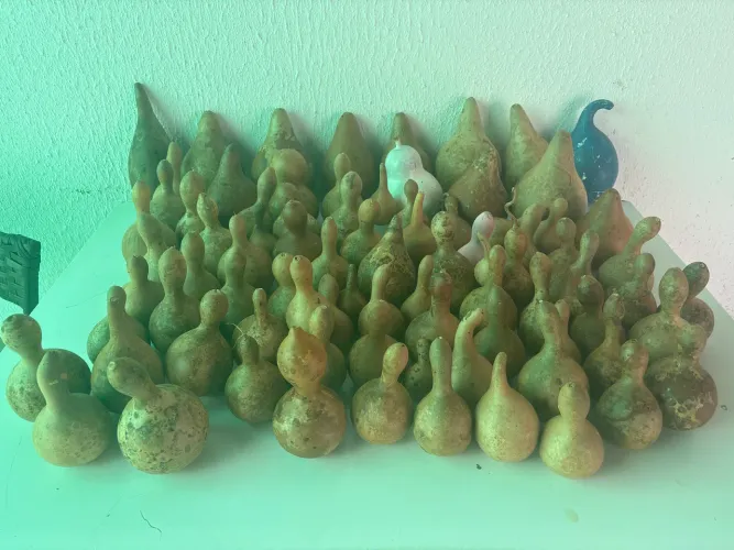 Vende-se cabaças