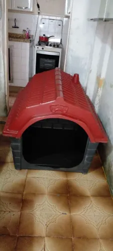 Casinha Mokoi Grande 