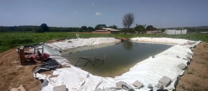 Chácara no Núcleo Santos Dumont Planaltina-Df,com 2 hectares, 390.000 URGENTE