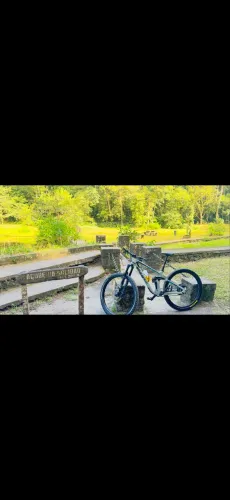 Bike mount bike