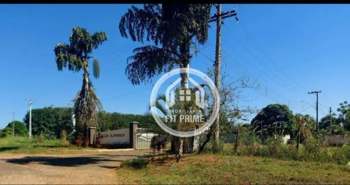 Chácara à venda, 2180 m² por R$ 650.000 - Nova Aliaça - Nova Aliança/SP