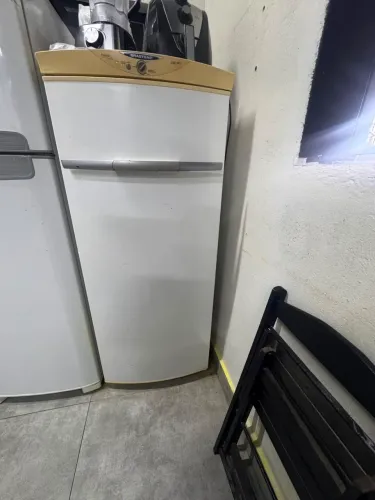 Freezer vertical
