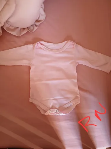 Body