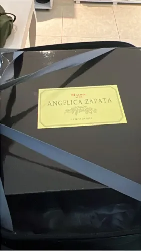 Vinho caixa argentino 