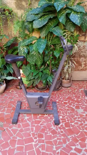 Bicicleta ergométrica 