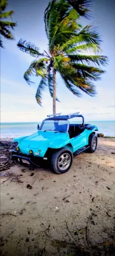 Volkswagen Buggy 1.6 8V Gasolina 2P Manual 1978