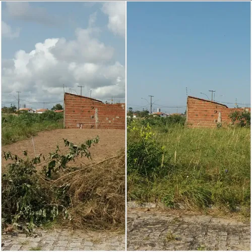 Serviço de capinagem