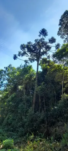 Terreno 4.000 metros em São Lourenço da Serra - SP