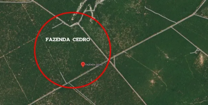 Fazenda de 260 hectares na Chapada Gaúcha .