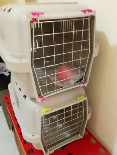 Caixa de transporte para Pets
