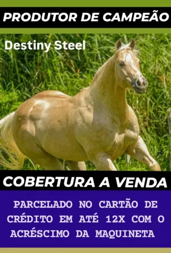 COBERTURA DO DESTINY STEEL 