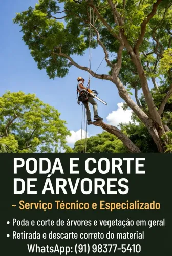 Corte, poda e retirada de árvores.