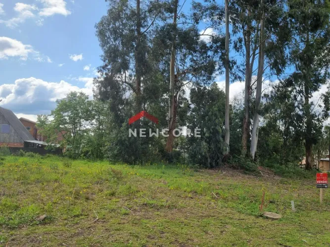 Lote em Rua Tenente Edy Saul Putten - Leodoro Azevedo - Canela/RS