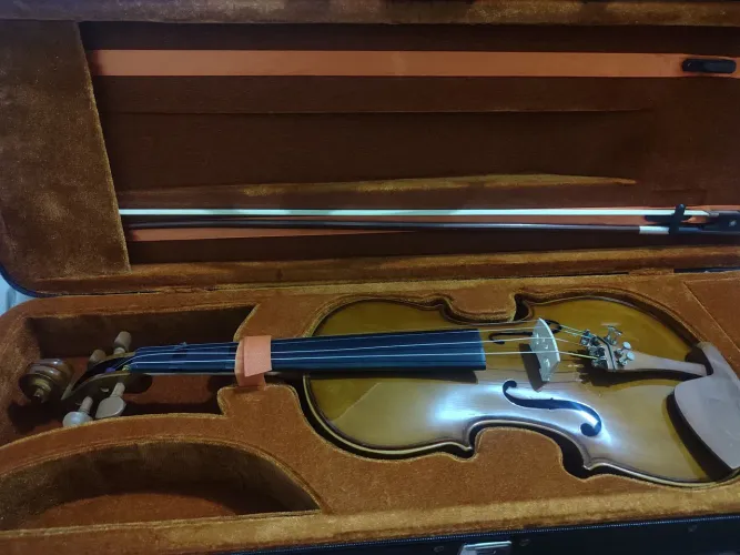 Violino 4/4 Eagle VE 441completo (perfeito estado)