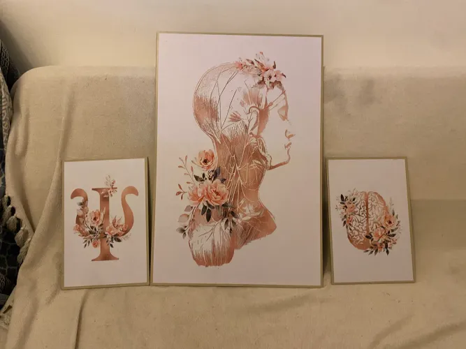 Quadros