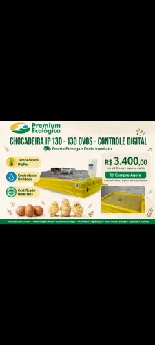Chocadeira automática Premium ecológica