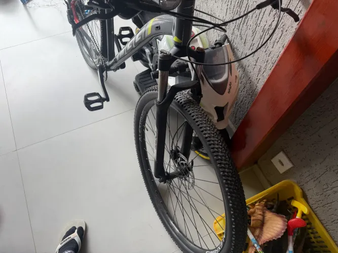 Bicicleta oggi 7.0