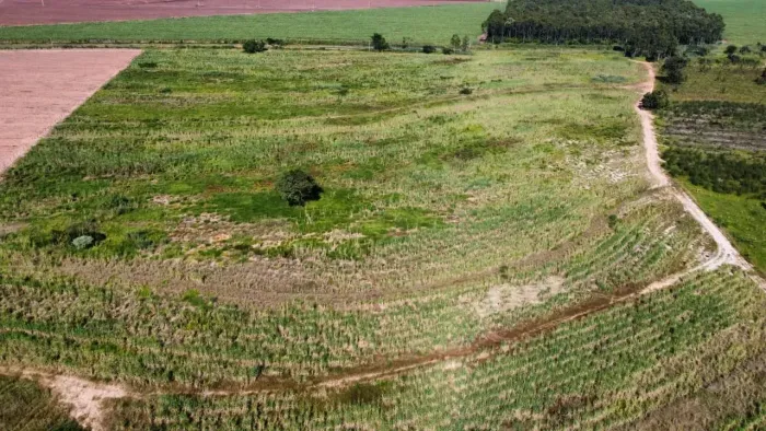 Sitio a venda Santa Maria da Serra SP
