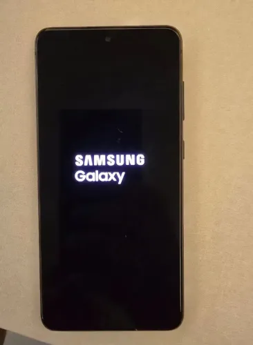 Celular Samsung Galaxy S21 FE 5G
