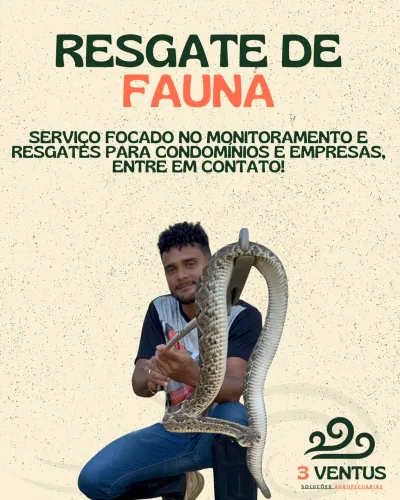 Resgate de fauna, monitoramento e educação ambiental