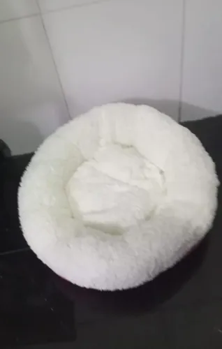 Caminha para pet