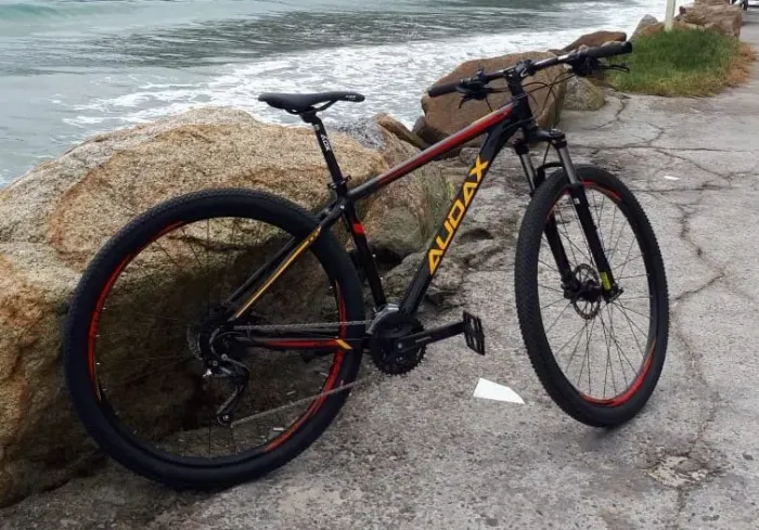 Bicicleta Audax 