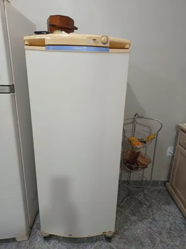 Frezzer vertical 260 litros