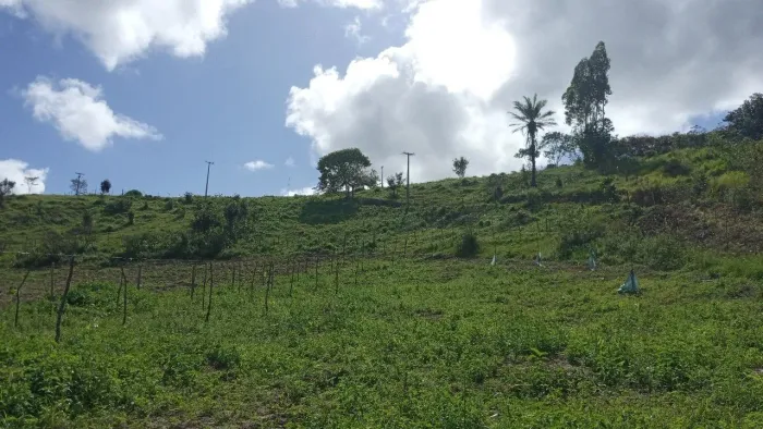 TERRENO PARA VENDER LOCALIZADO NA ZONA RURAL DE INDIAROBA/SE