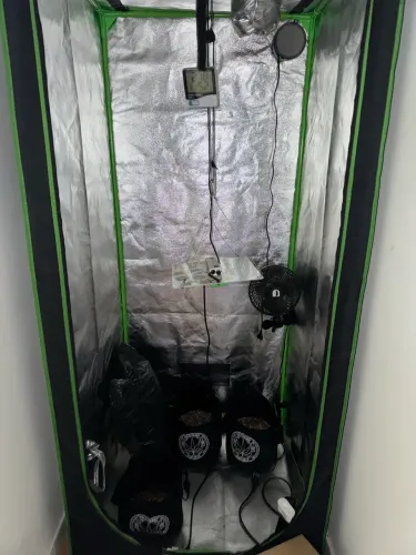 Grow Indoor 80x80x180 + Acessórios 
