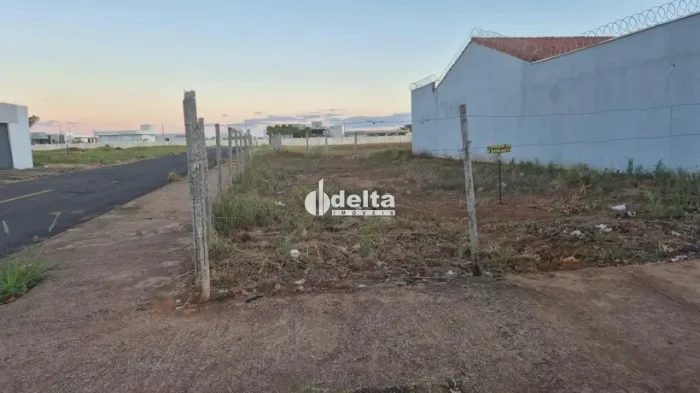 Terreno disponível para venda no bairro Jardim das Palmeiras em Uberlândia-MG.